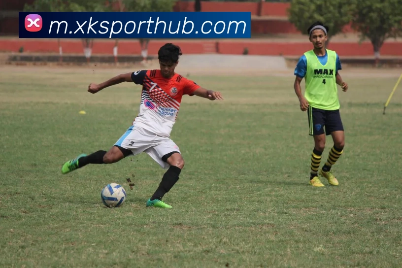 星空体育平台生态图