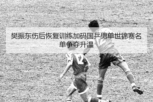 樊振东伤后恢复训练加码国乒男单世锦赛名单争夺升温